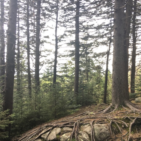 Meet your Posher, Celina - Picture 1 of 1